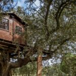 Casa sull'albero