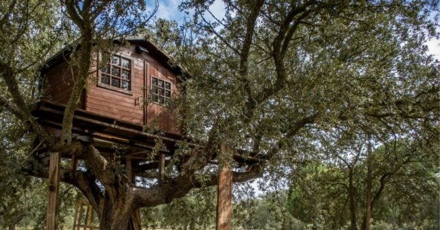 Casa sull'albero