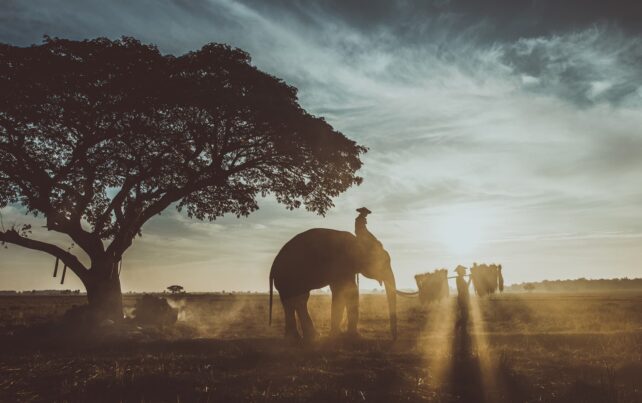 Soggiorno in Africa