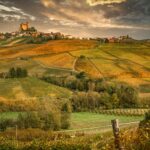 Colline nelle Langhe