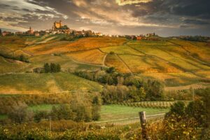 Colline nelle Langhe